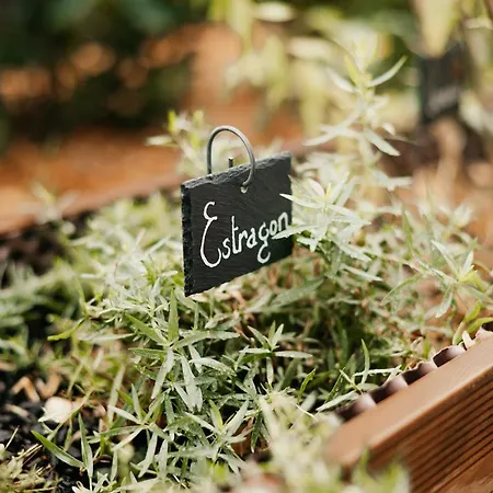 アパート Les De L'altevic